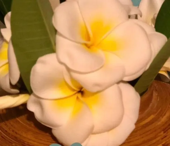 Casa Bella Сasa de vacaciones *