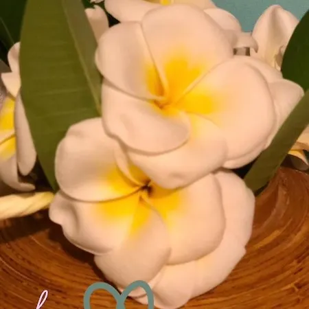 Casa Bella Casa de Férias *