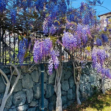 Hébergement de vacances Casa Bella